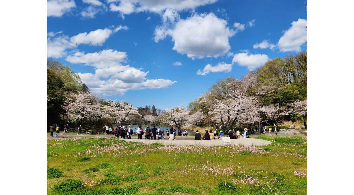 公益財団法人神奈川県公園協会