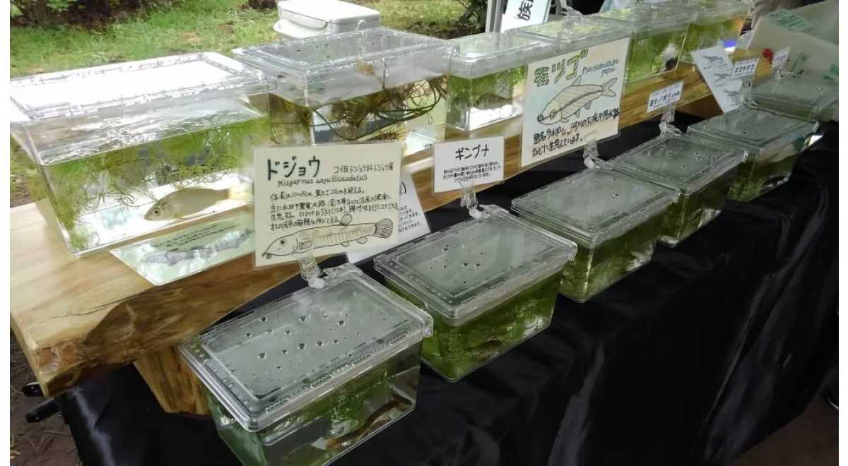 二ツ池公園愛護会