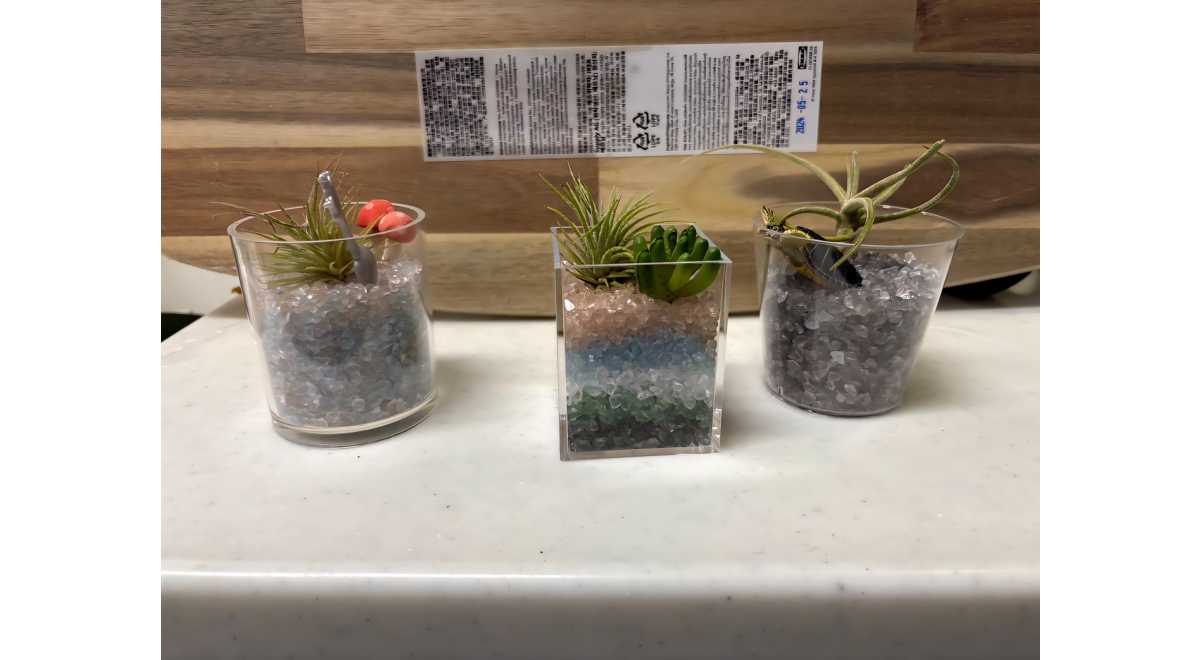 徠木園